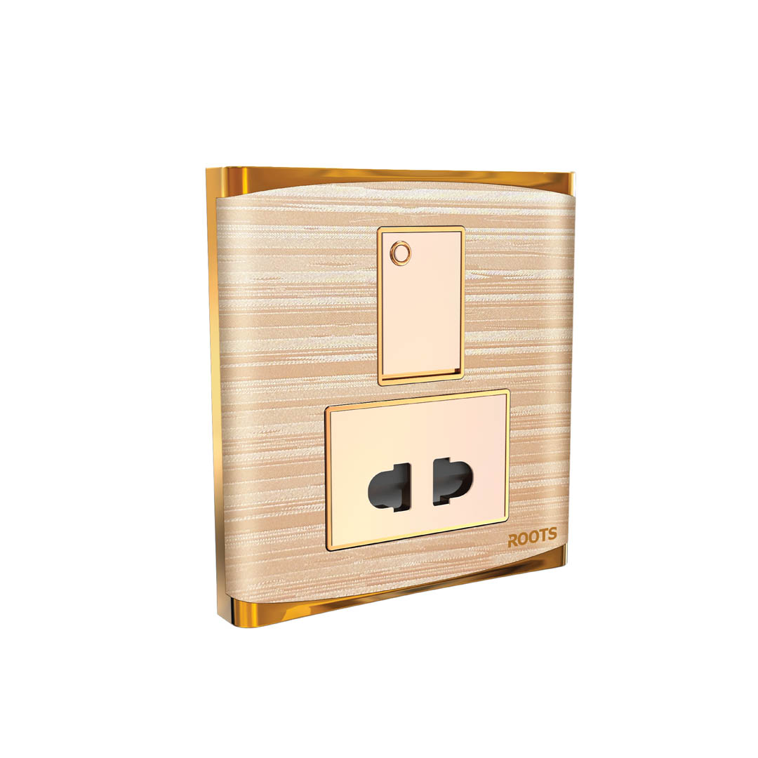 2 Pin Socket with Switch