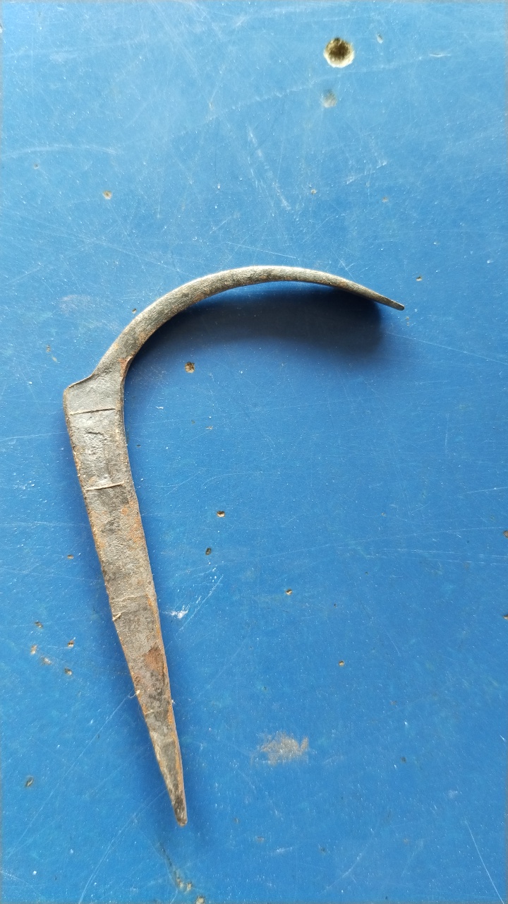 ২" কামারী ক্লাম