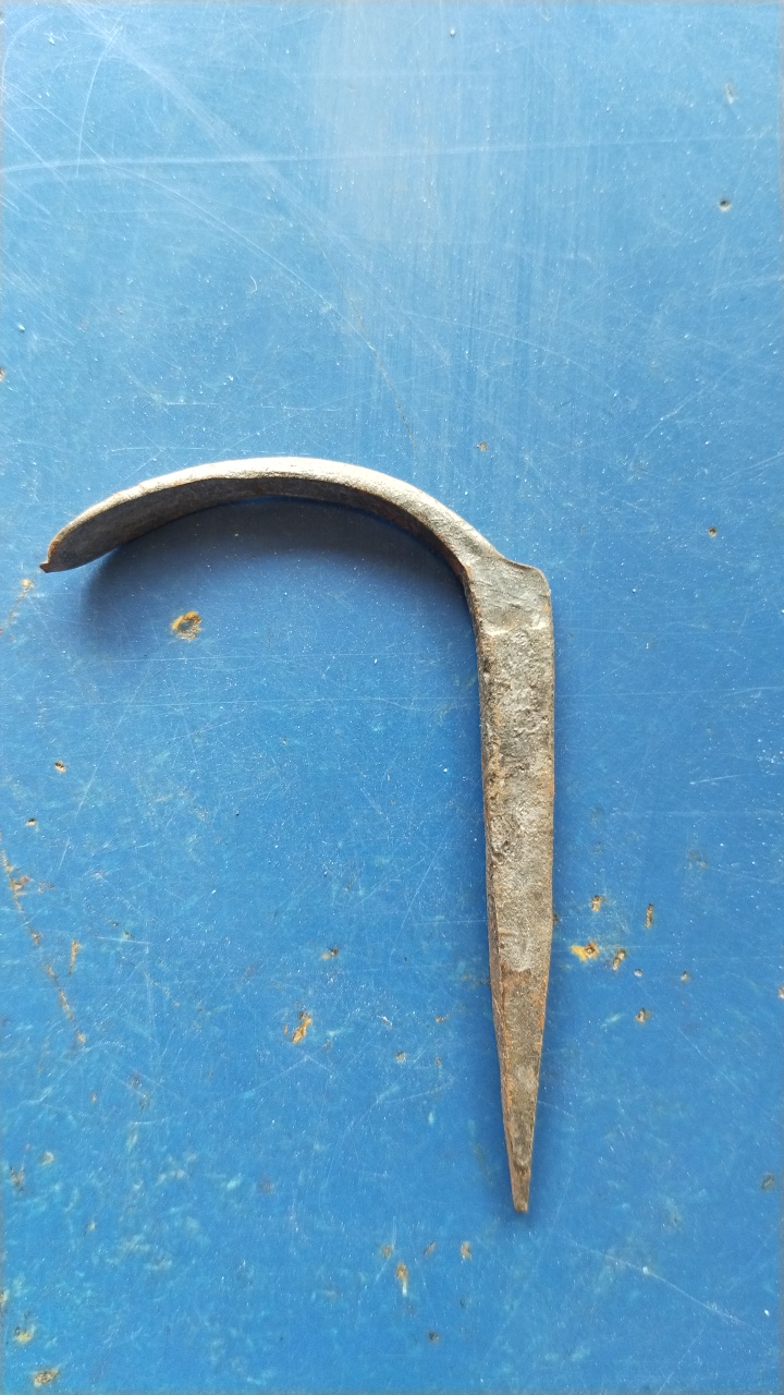 ১" কামারী ক্লাম