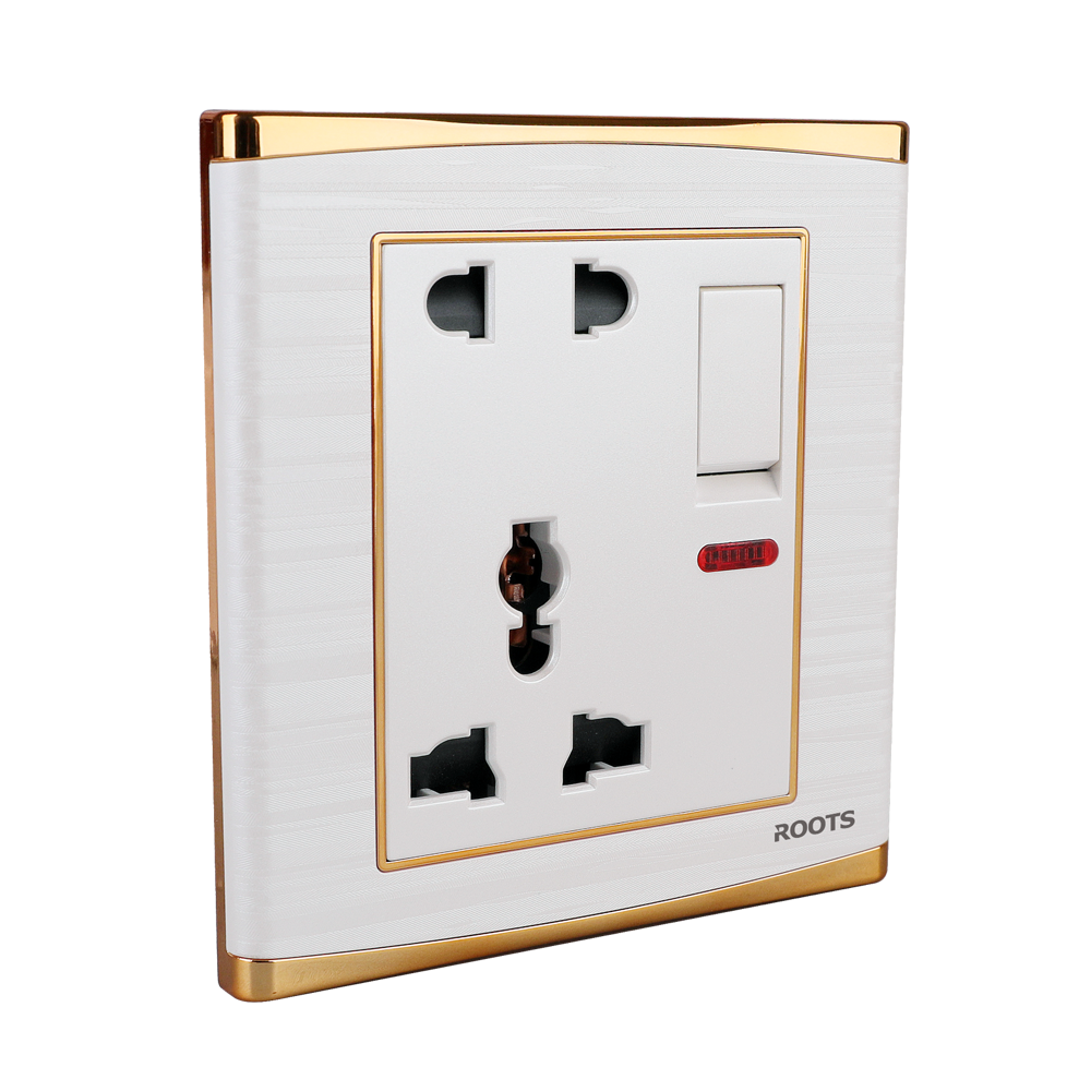 2 & 3 Pin Multi-Functional Socket